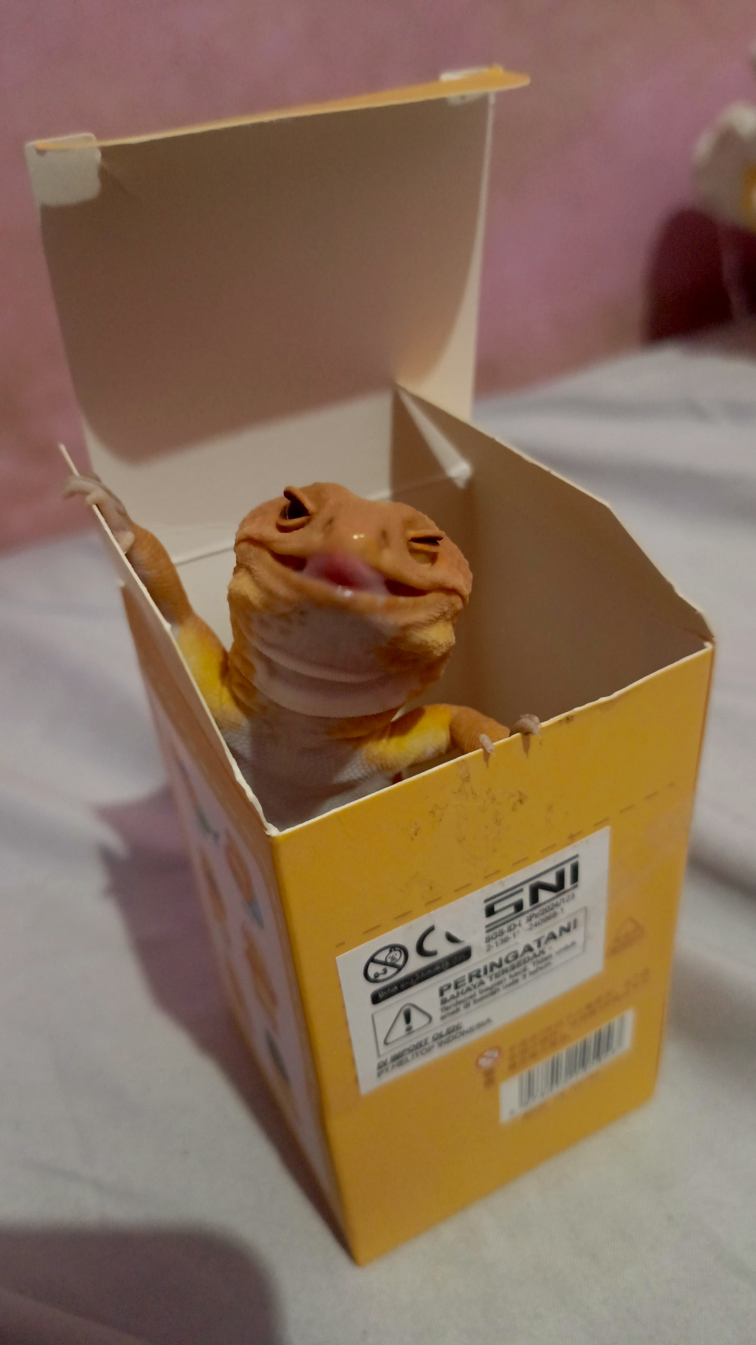 Karya Lomba
